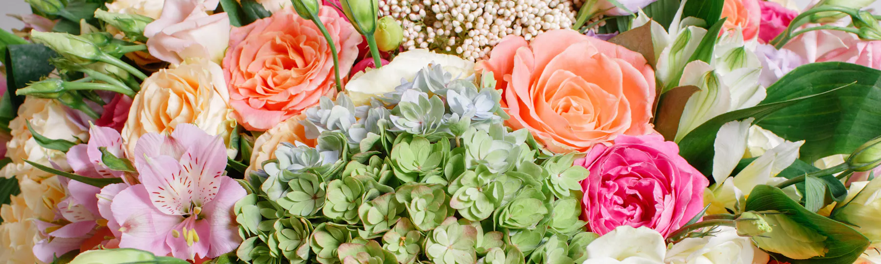Window Box Florist (prev. Mainland Floral) photo