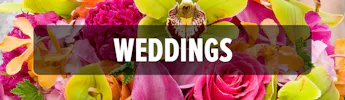 Weddings