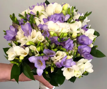 Window Box Florist (prev. Mainland Floral) photo