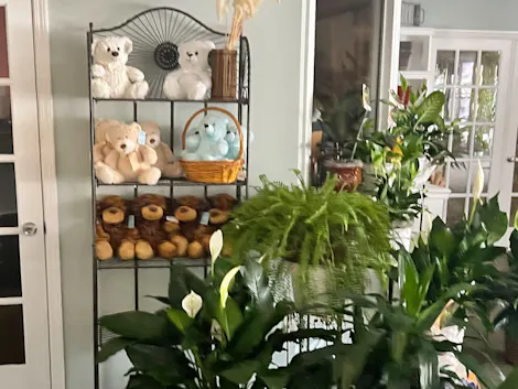 Gallery Preview